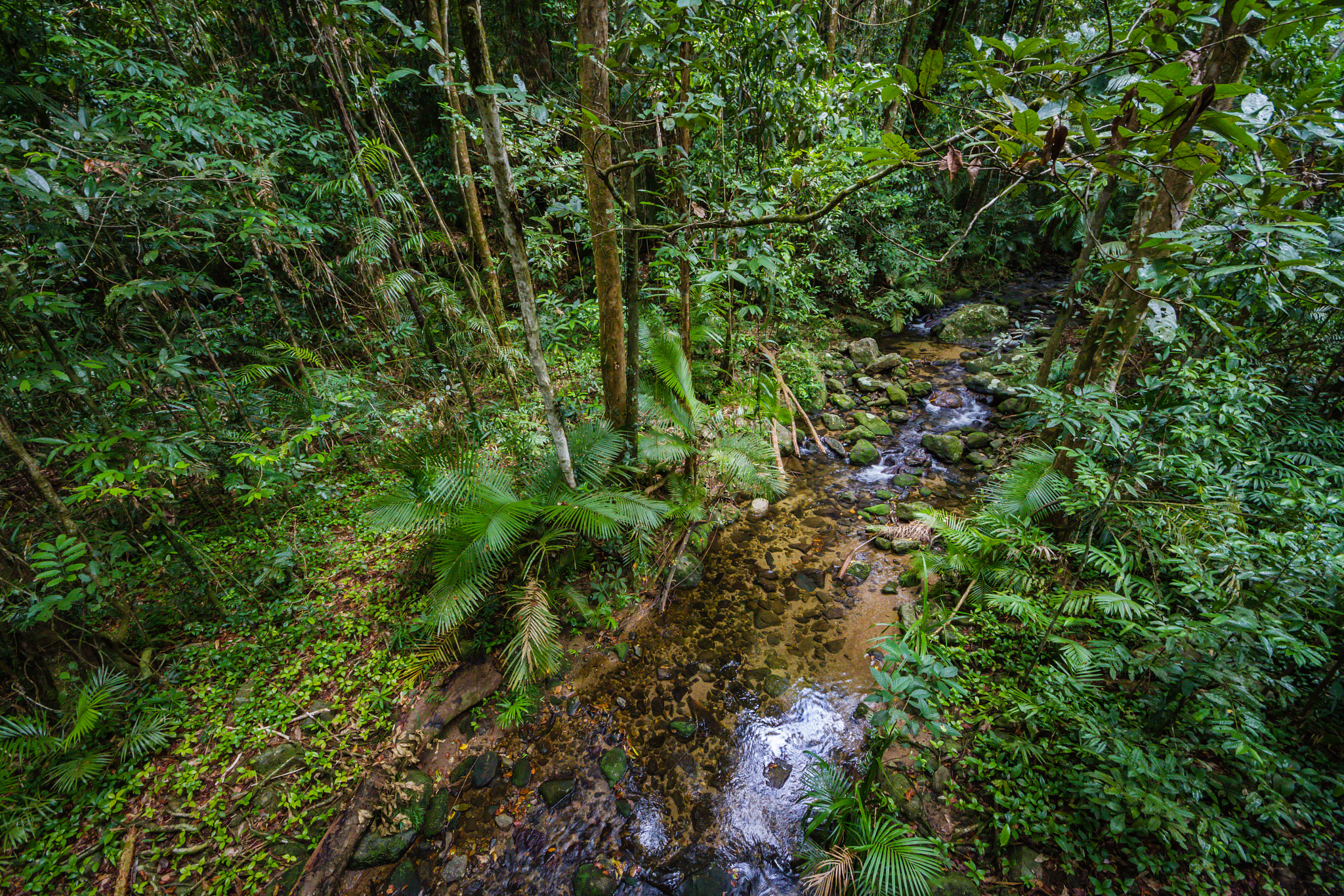 Canon EOS 7D + Sigma 8-16mm F4.5-5.6 DC HSM sample photo. North queensland photography
