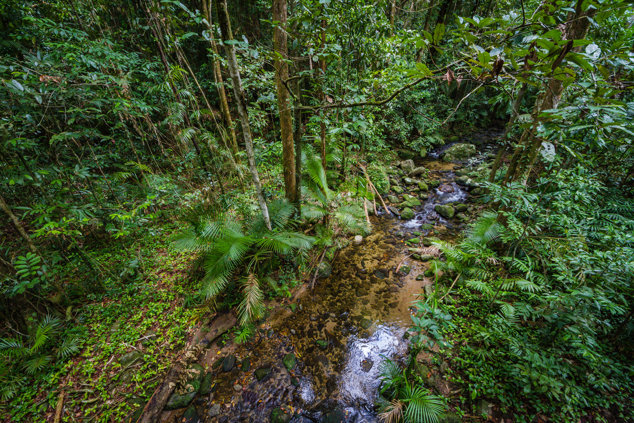 Sigma 8-16mm F4.5-5.6 DC HSM sample photo. North queensland photography