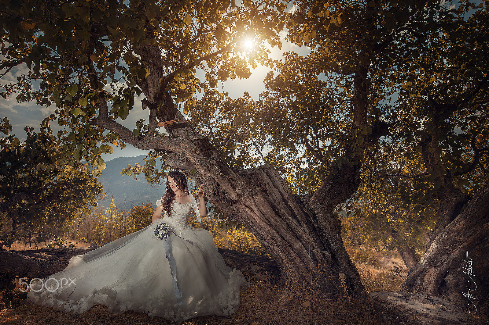 Canon EF 16-35mm F4L IS USM sample photo. Wedding photography