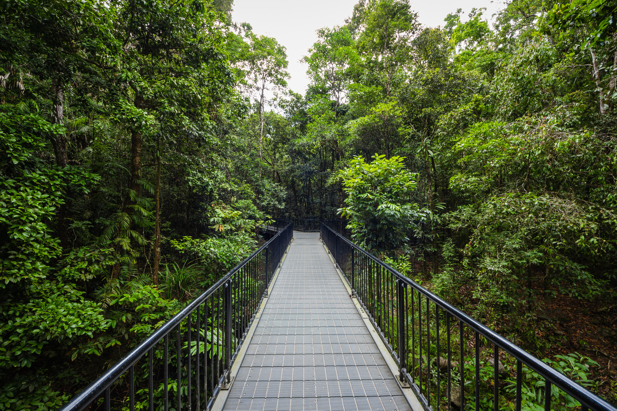 Sigma 8-16mm F4.5-5.6 DC HSM sample photo. North queensland photography