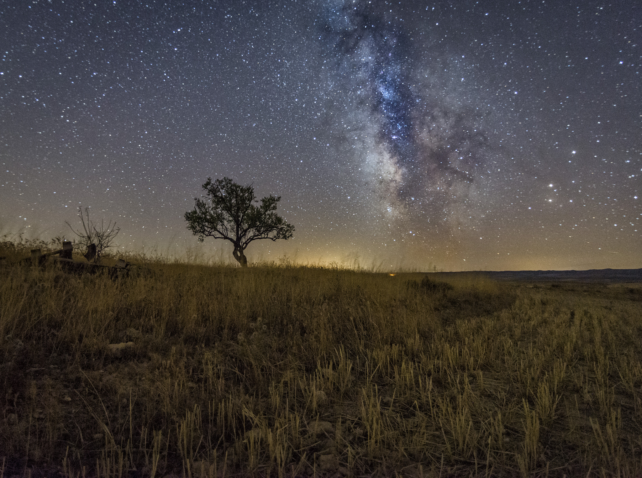 Tokina AT-X 16-28mm F2.8 Pro FX sample photo. Tree´s galaxy photography