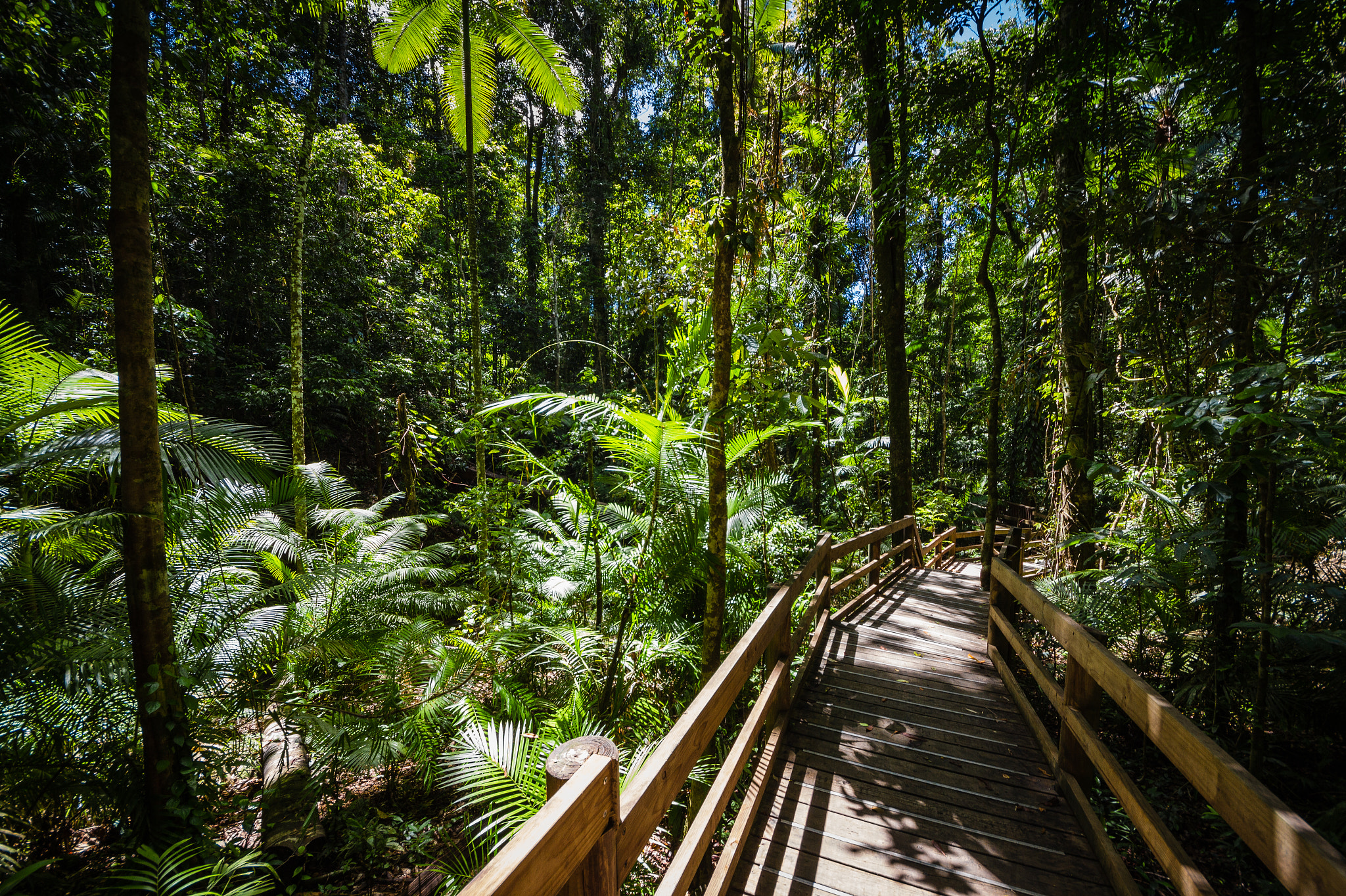 Sigma 8-16mm F4.5-5.6 DC HSM sample photo. North queensland photography