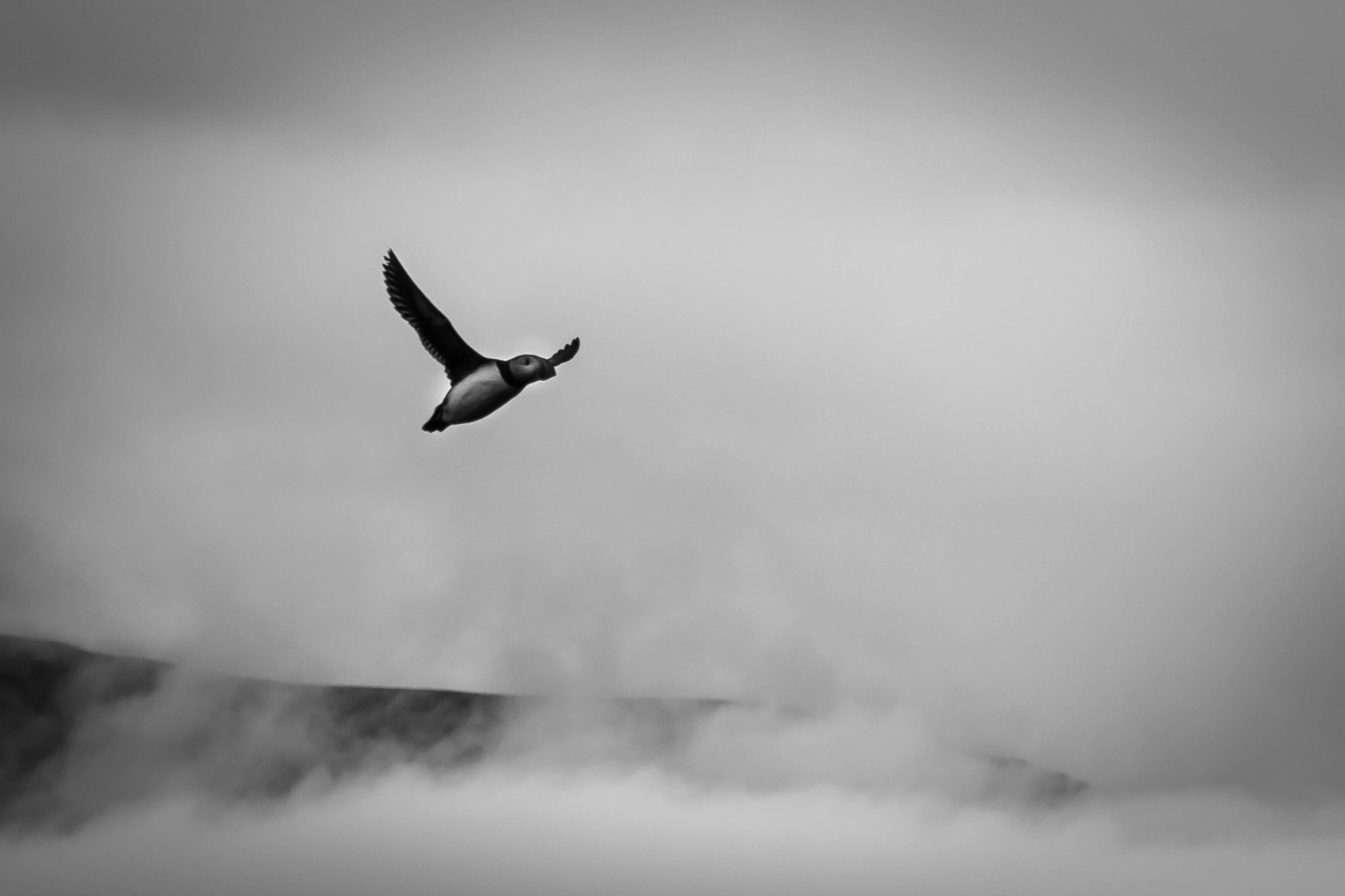 Canon EOS 650D (EOS Rebel T4i / EOS Kiss X6i) sample photo. Over the clouds photography