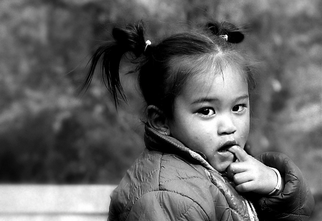 Sigma 17-70mm F2.8-4 DC Macro OS HSM sample photo. Kukee photography