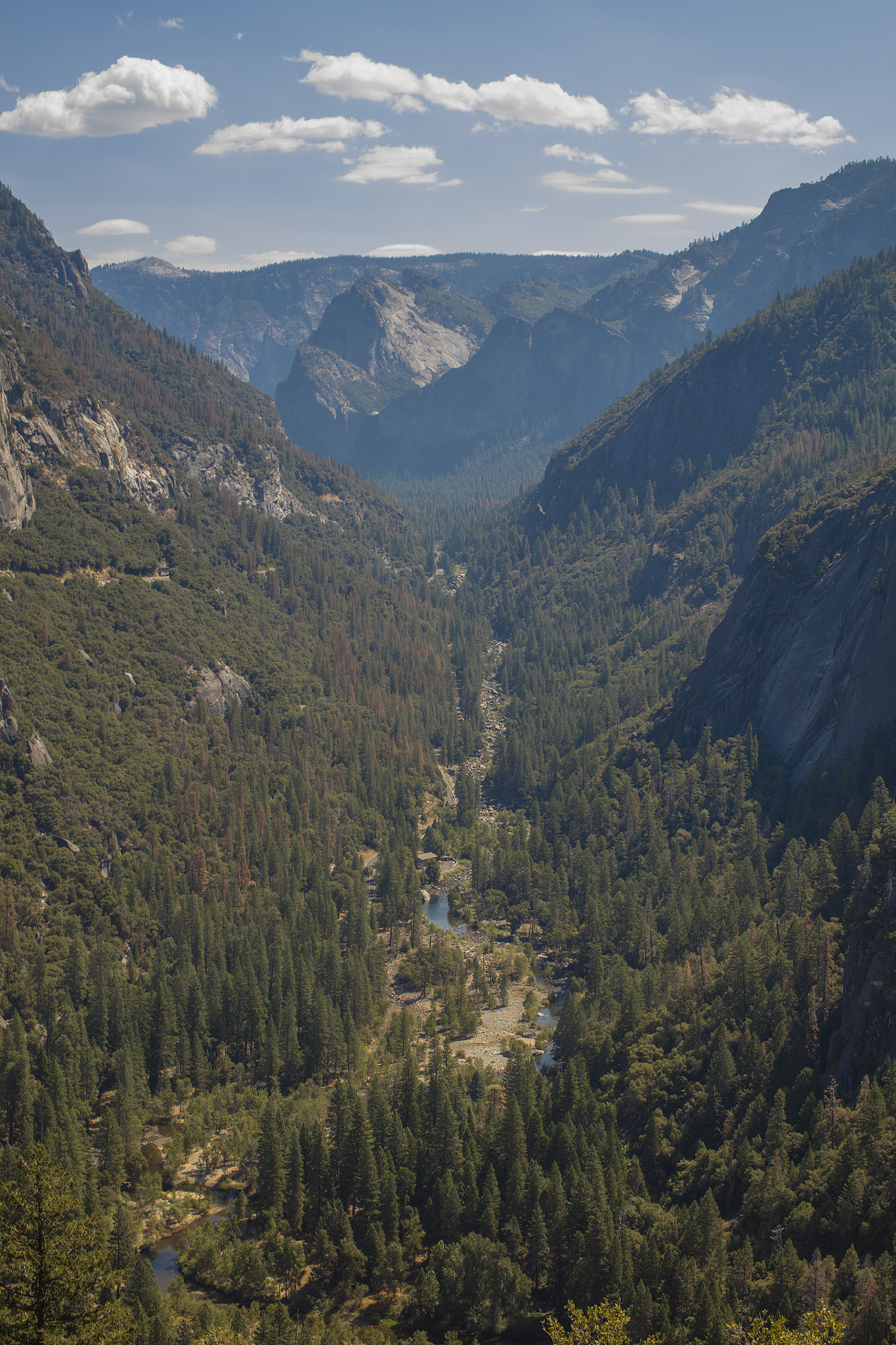 Canon EOS 5DS R + Canon EF 50mm F1.2L USM sample photo. Close to yosemite... photography