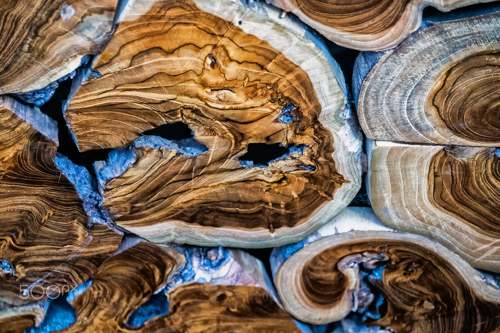 Sony DT 18-250mm F3.5-6.3 sample photo. Wood cuts photography