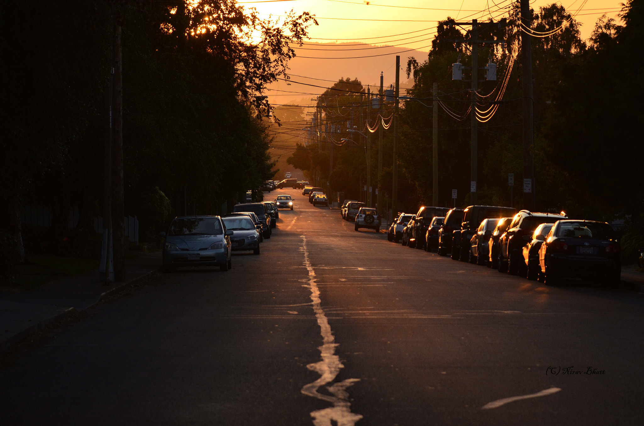 Nikon D5100 + Sigma APO 100-300mm F4 EX IF HSM sample photo. Golden hour photography