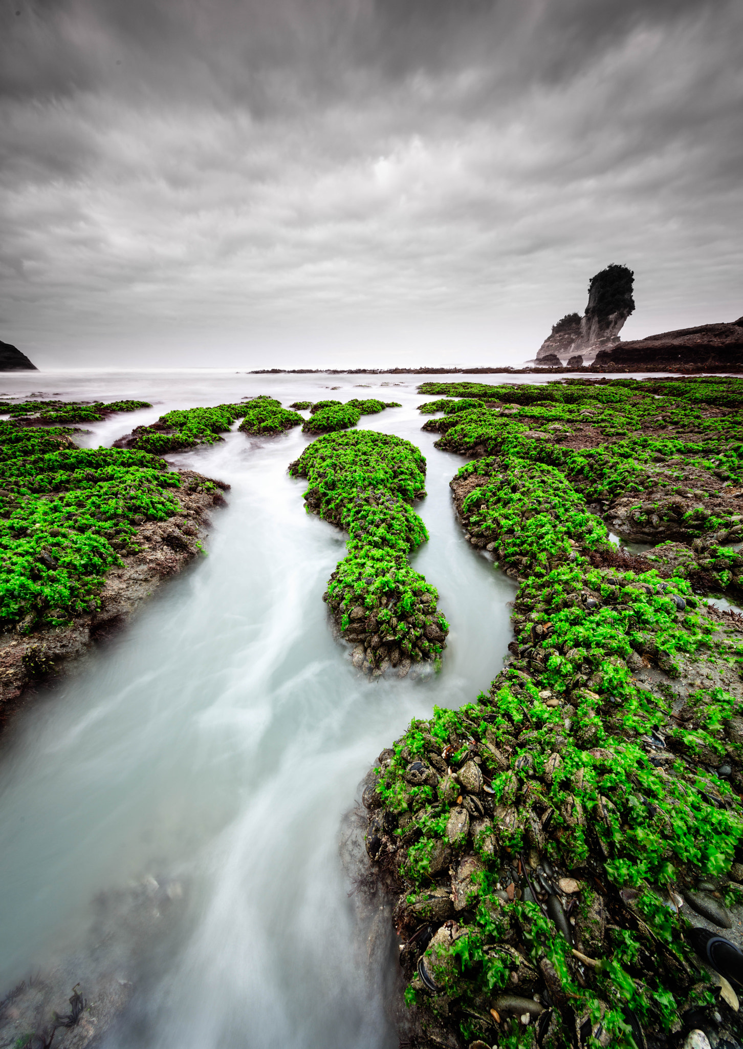 Canon EOS 5DS + Canon EF 11-24mm F4L USM sample photo. Motukiekie beach - 1309 photography