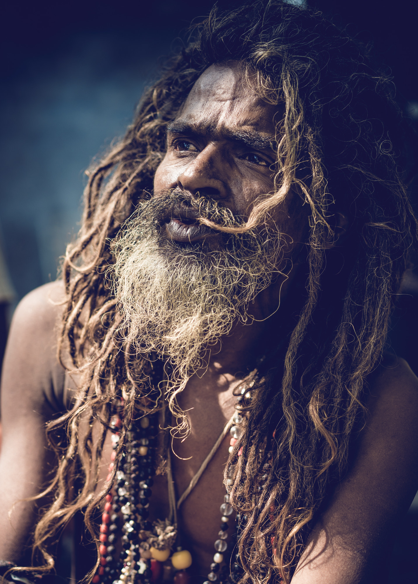 Sony a7S II + Sony Sonnar T* FE 55mm F1.8 ZA sample photo. Baba ji photography