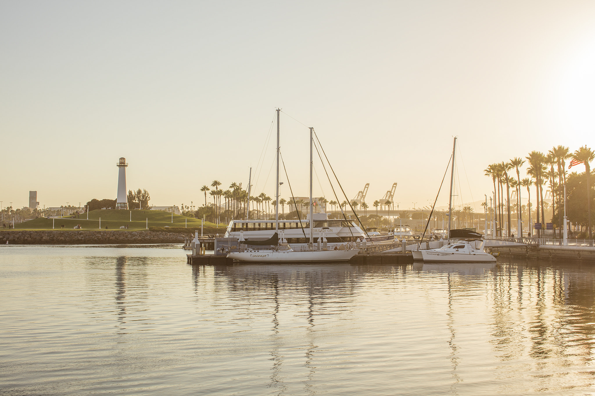 Canon EOS 5DS R + Canon EF 50mm F1.2L USM sample photo. Long beach photography
