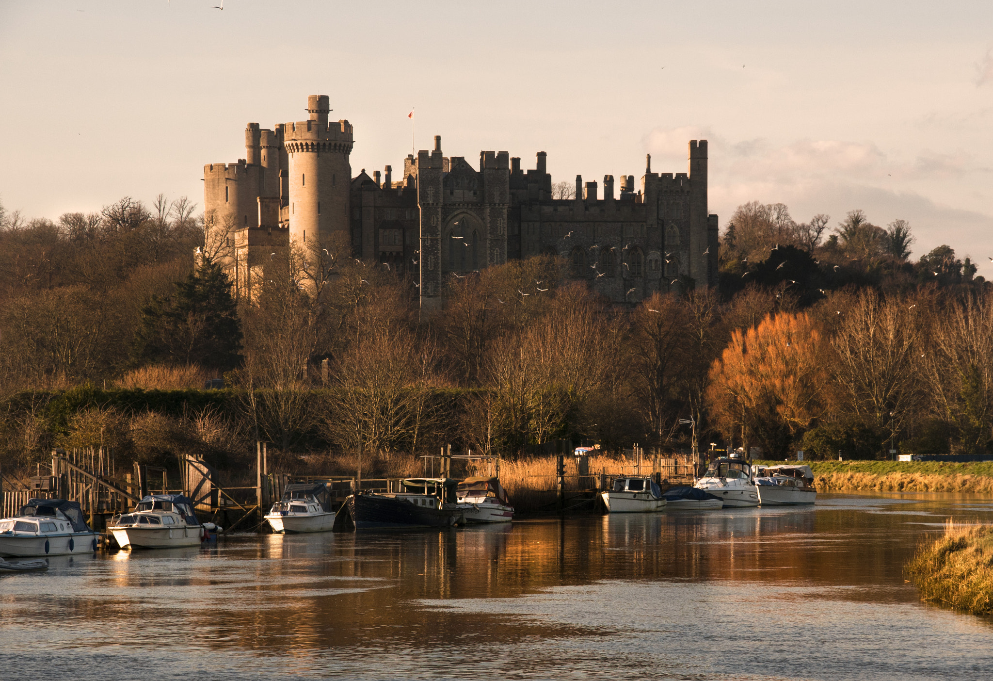 Nikon D300 + Sigma 18-200mm F3.5-6.3 DC sample photo. Arundel castle photography