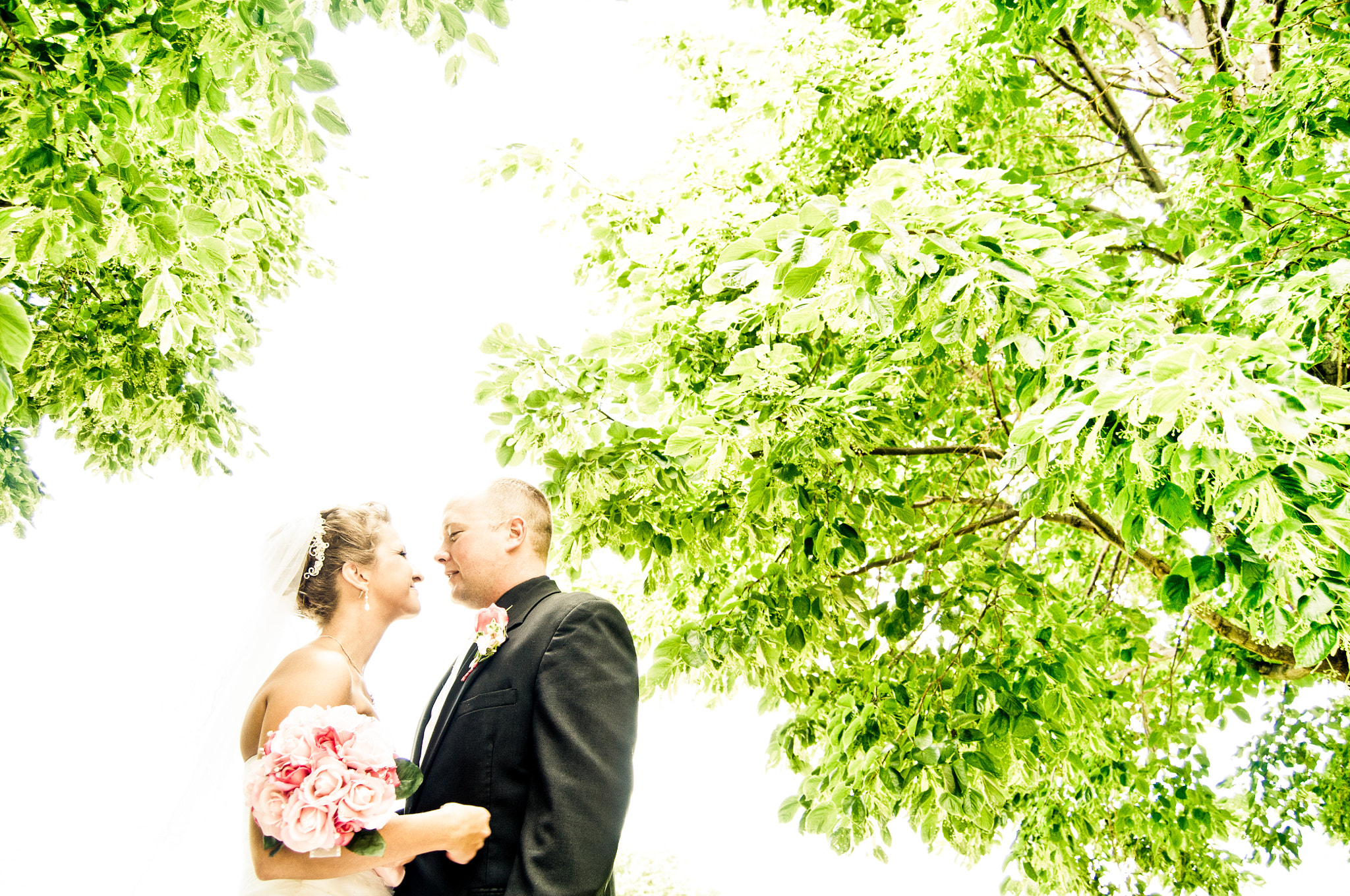 Nikon D300 sample photo. Ap photography