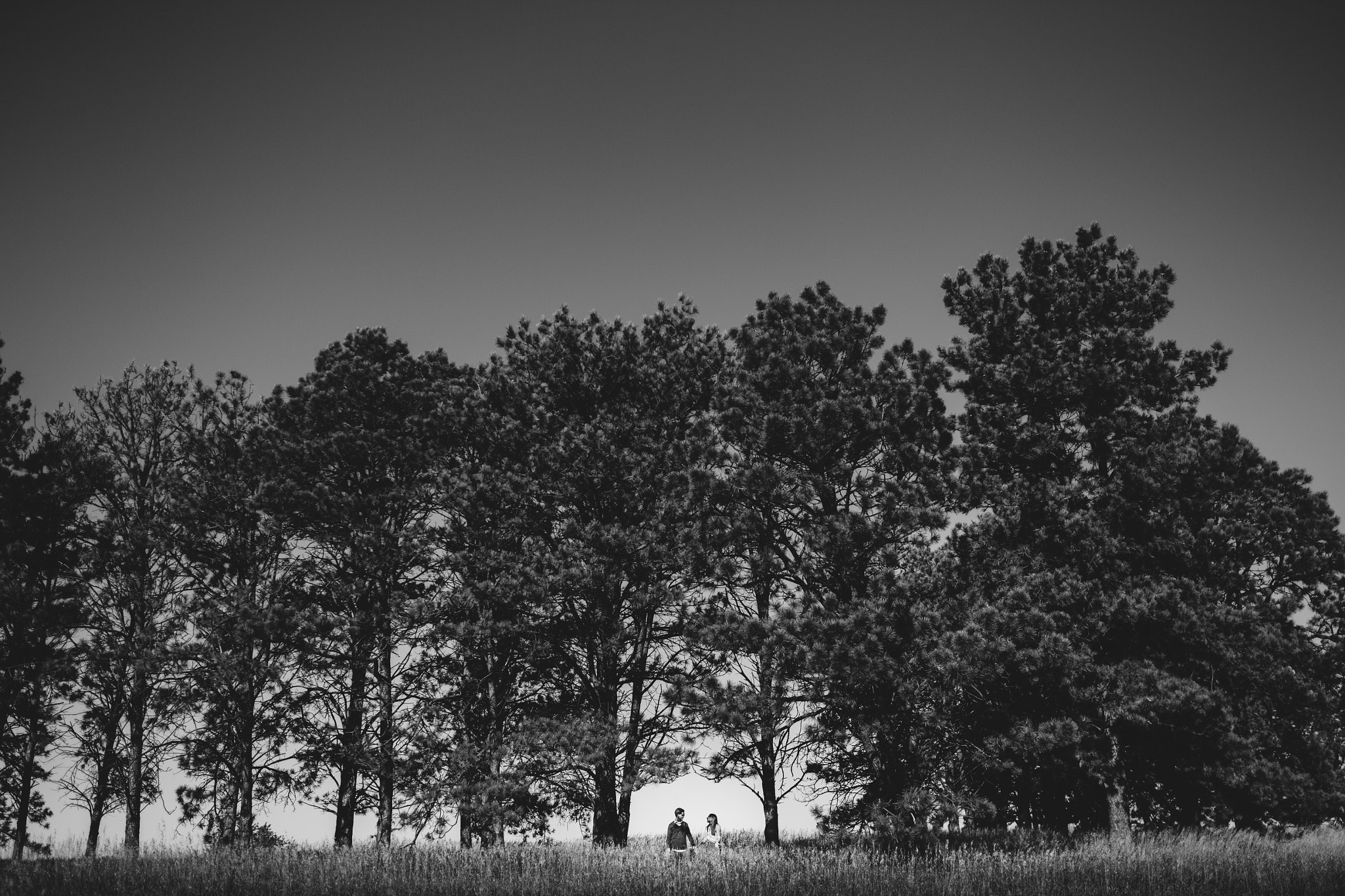 Canon EF 24mm F1.4L II USM sample photo. Piaskowskijacobsen photography