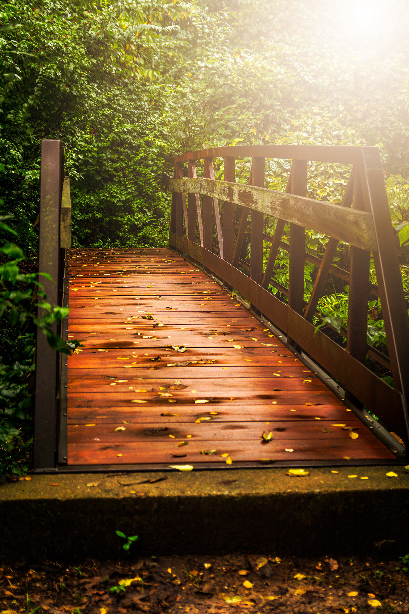 Canon EF-S 17-55mm F2.8 IS USM sample photo. Early morning bridge photography