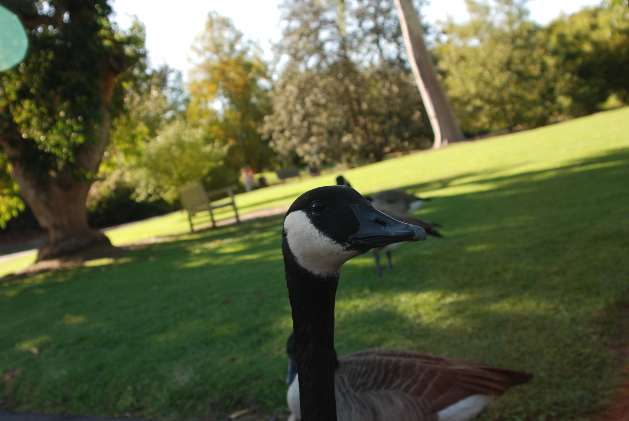 Nikon D80 sample photo. I see you photography