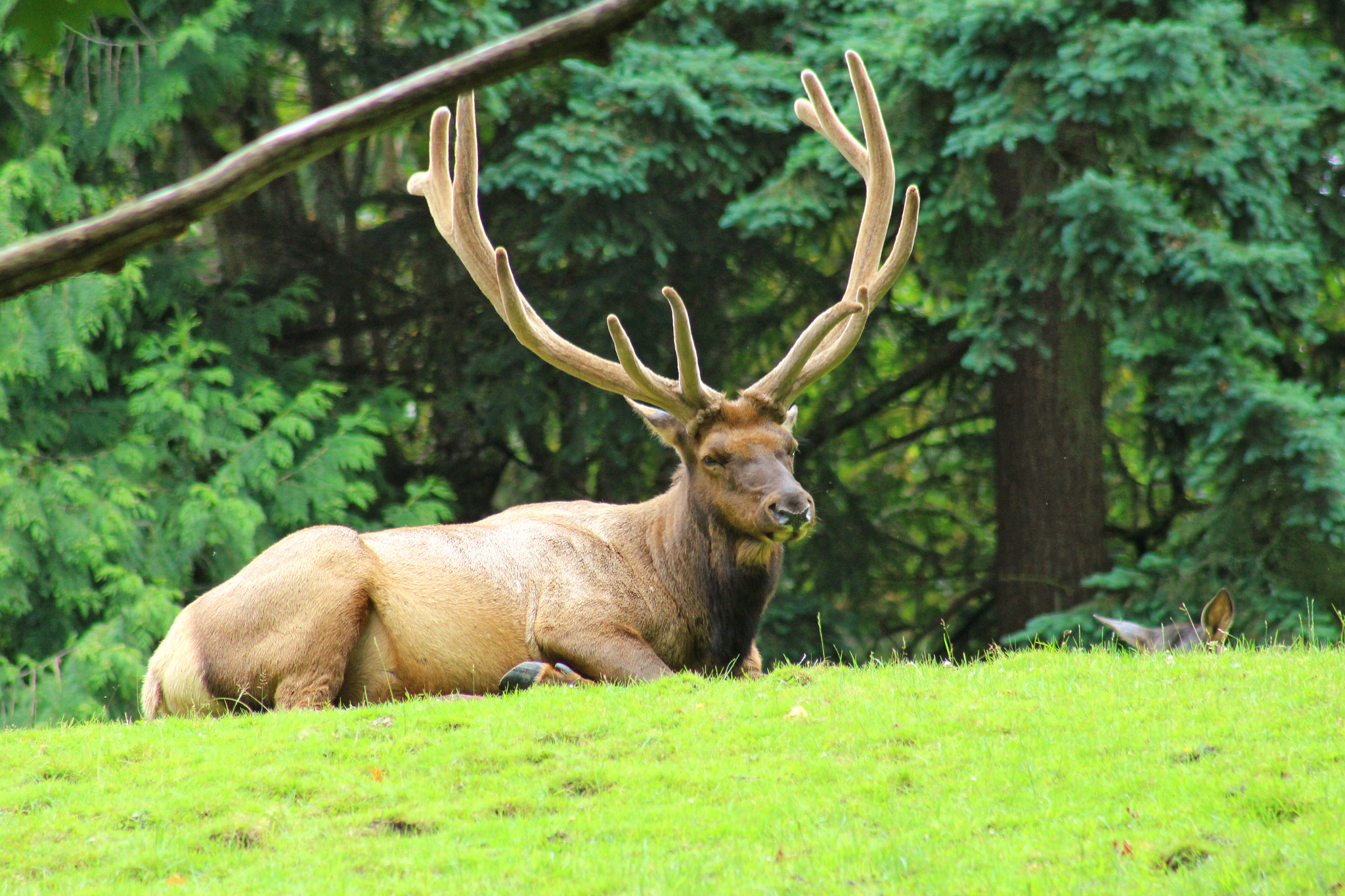 Canon EF75-300mm f/4-5.6 sample photo