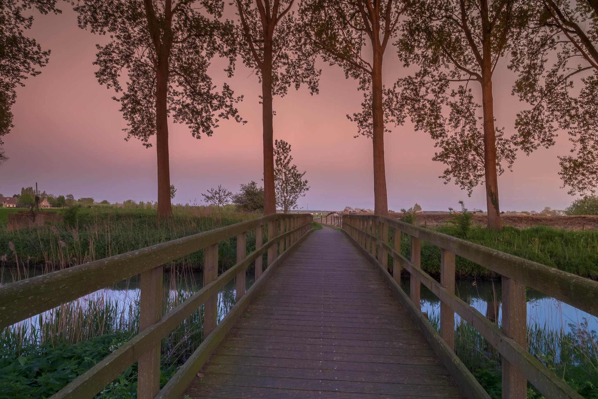 Fujifilm X-E1 + Fujifilm XF 14mm F2.8 R sample photo. Sunset at the foot bridge in damme photography