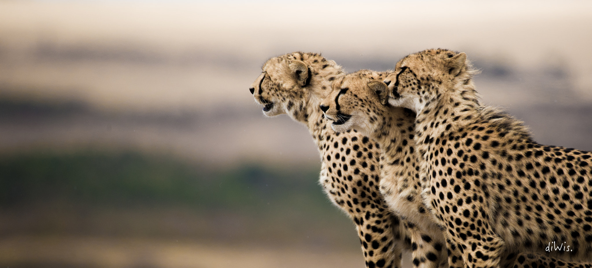 Sigma 150-600mm F5-6.3 DG OS HSM | S sample photo. Youngster photography