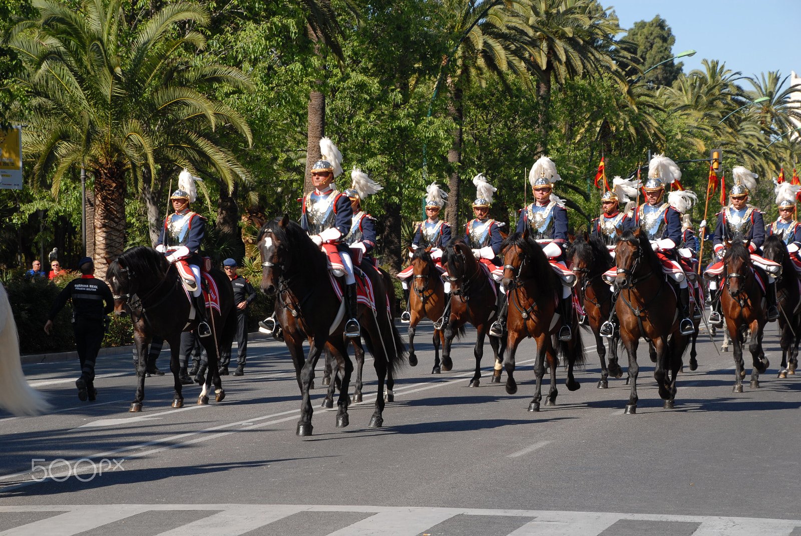 Nikon D200 sample photo. Desfile militar photography