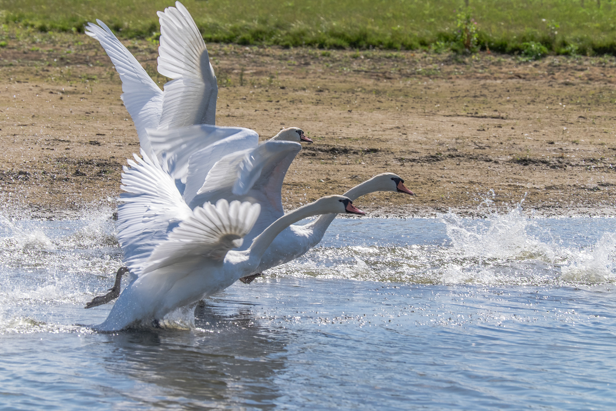 Fujifilm X-T1 sample photo. Ready for takeoff. photography