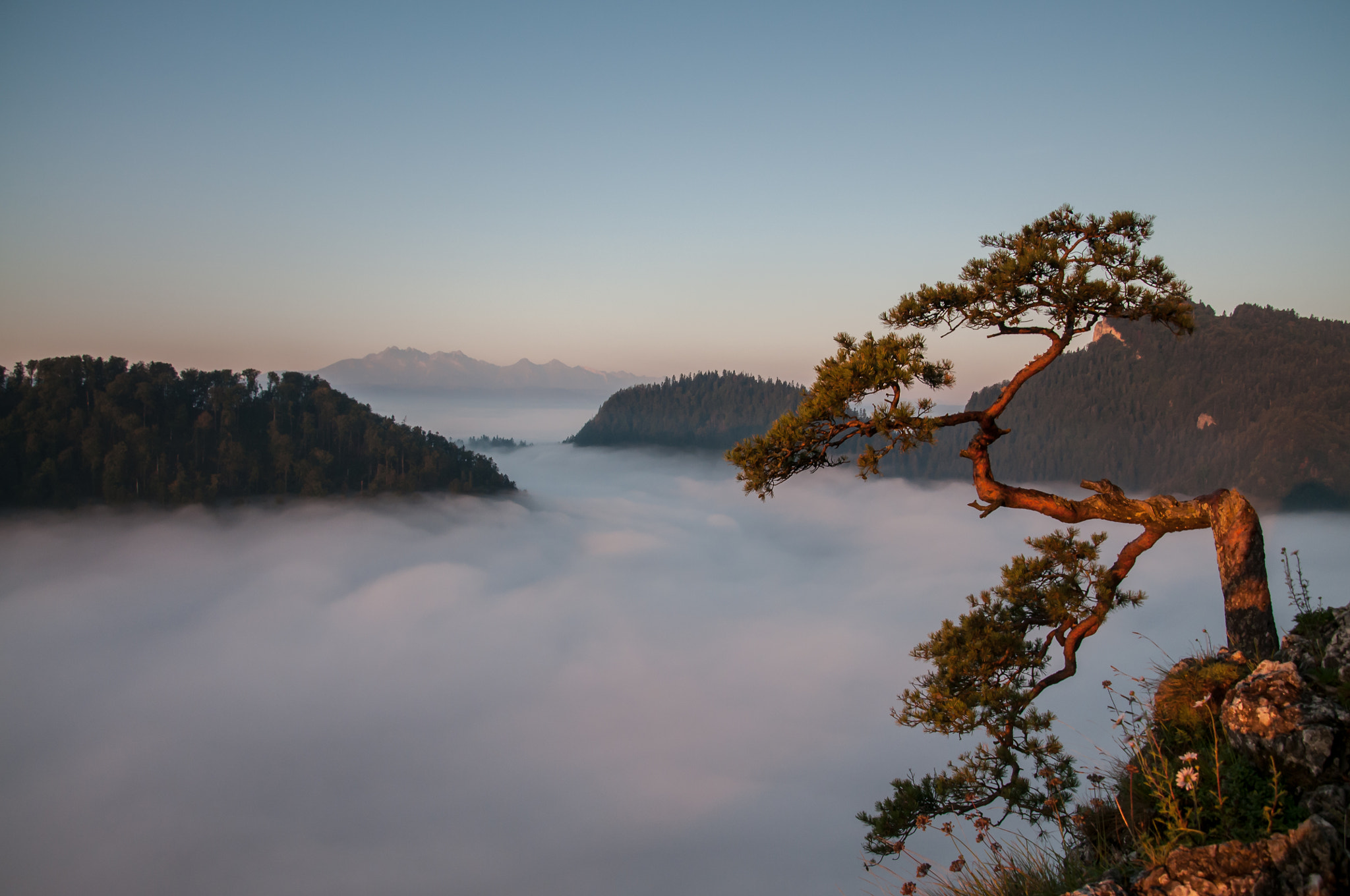 Nikon D300S sample photo. View from sokolica mount photography