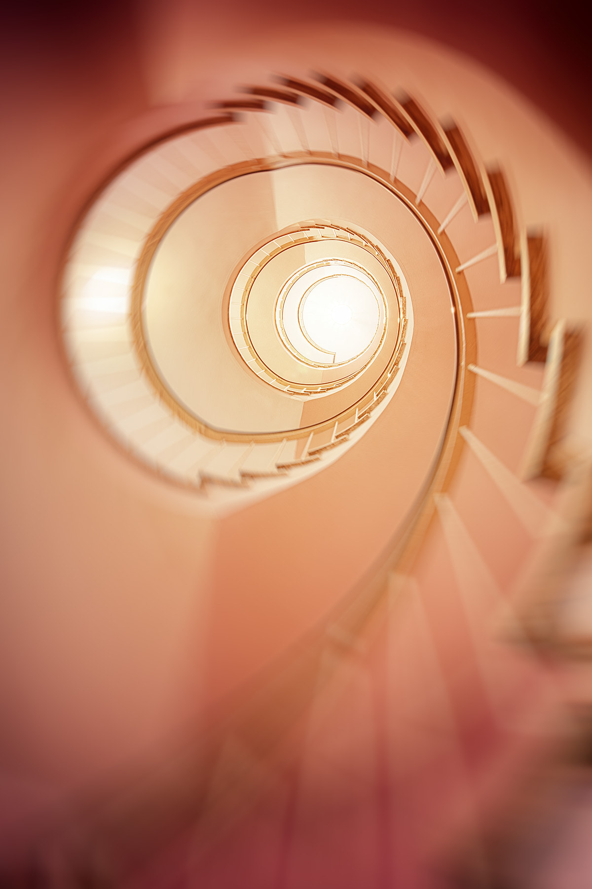 Tamron 18-270mm F3.5-6.3 Di II PZD sample photo. Spiral swirl photography
