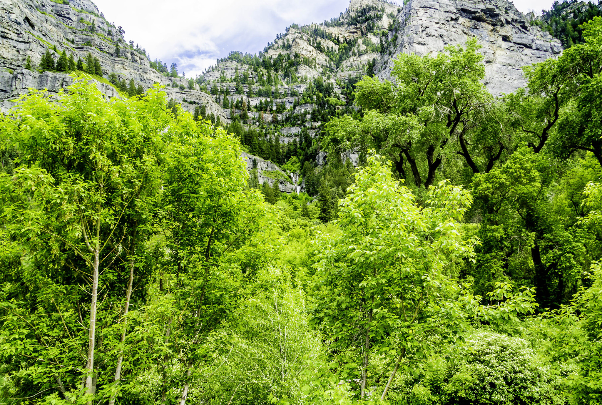 Canon EF-S 17-85mm F4-5.6 IS USM sample photo. Hidden falls photography
