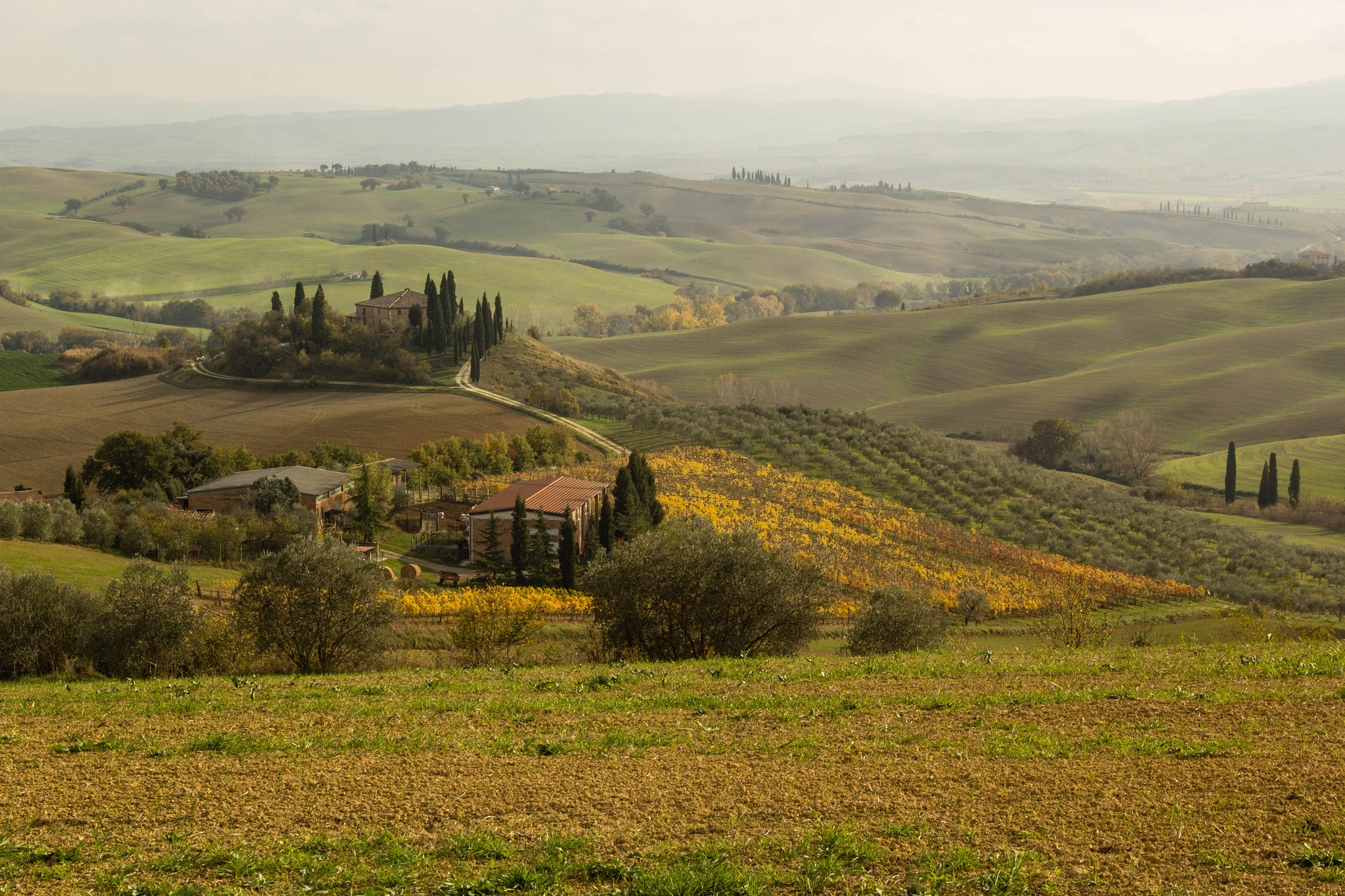 Canon EOS 60D + Sigma 18-50mm F2.8-4.5 DC OS HSM sample photo. Val d'orcia photography