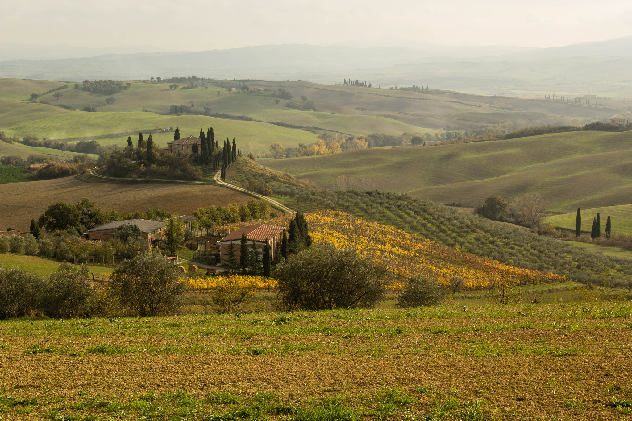 Sigma 18-50mm F2.8-4.5 DC OS HSM sample photo. Val d'orcia photography