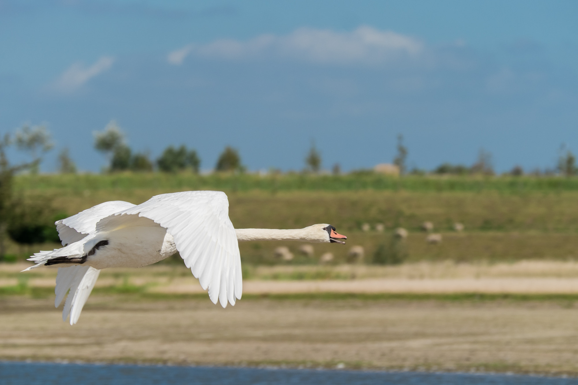 Fujifilm X-T1 sample photo. Dutch polder landscape. photography