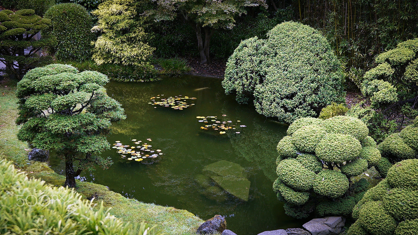 Sony a7S II + Sony FE 24-70mm F2.8 GM sample photo. They all have the time for you photography