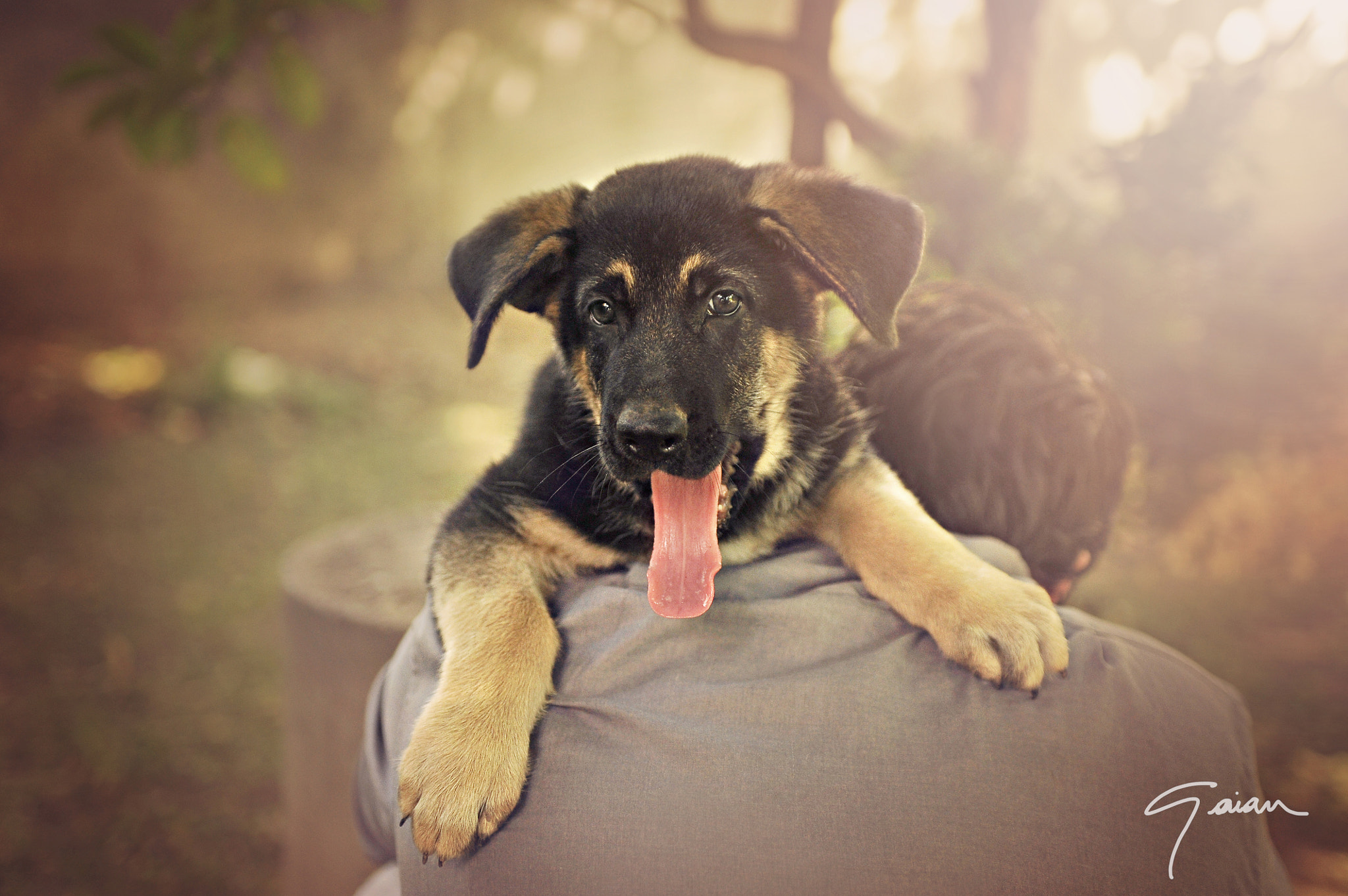 Nikon D700 + Sigma 24-70mm F2.8 EX DG Macro sample photo. Tongue out! photography