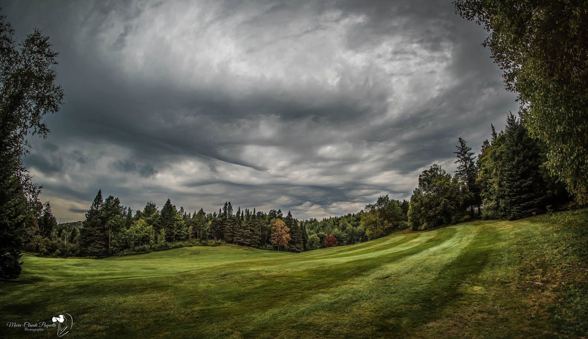 Nikon D810 + Samyang 12mm F2.8 ED AS NCS Fisheye sample photo. Nuageux photography