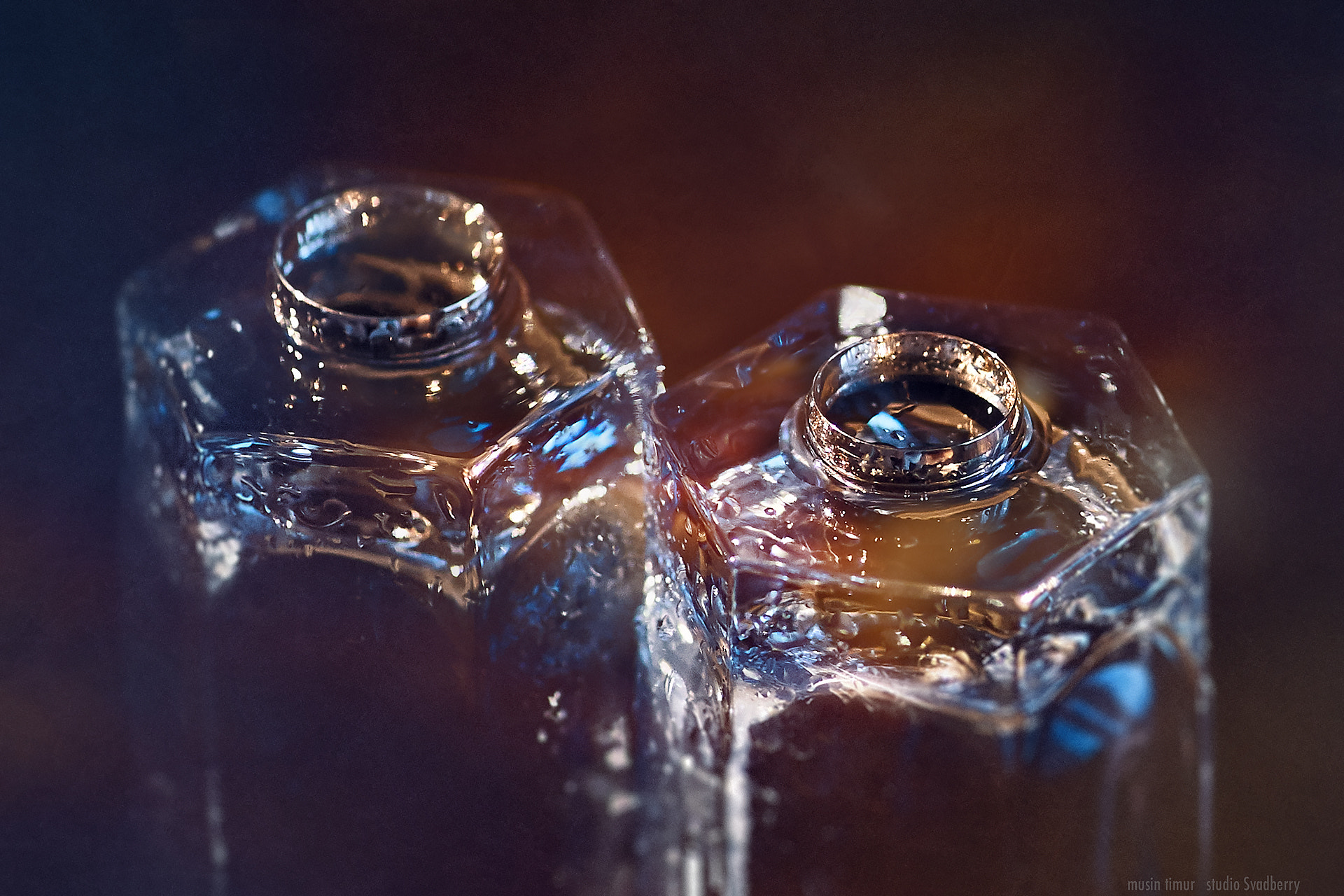 Canon EF 85mm F1.2L II USM sample photo. Img photography