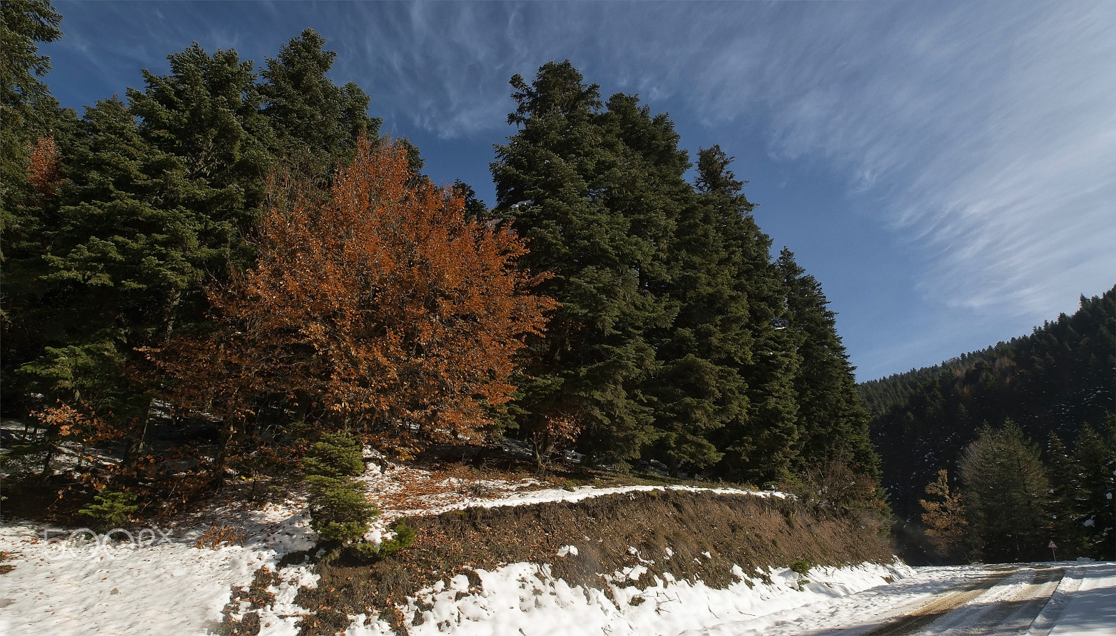 Nikon D200 sample photo. Yedigöllerde sonbahar (autumn) photography