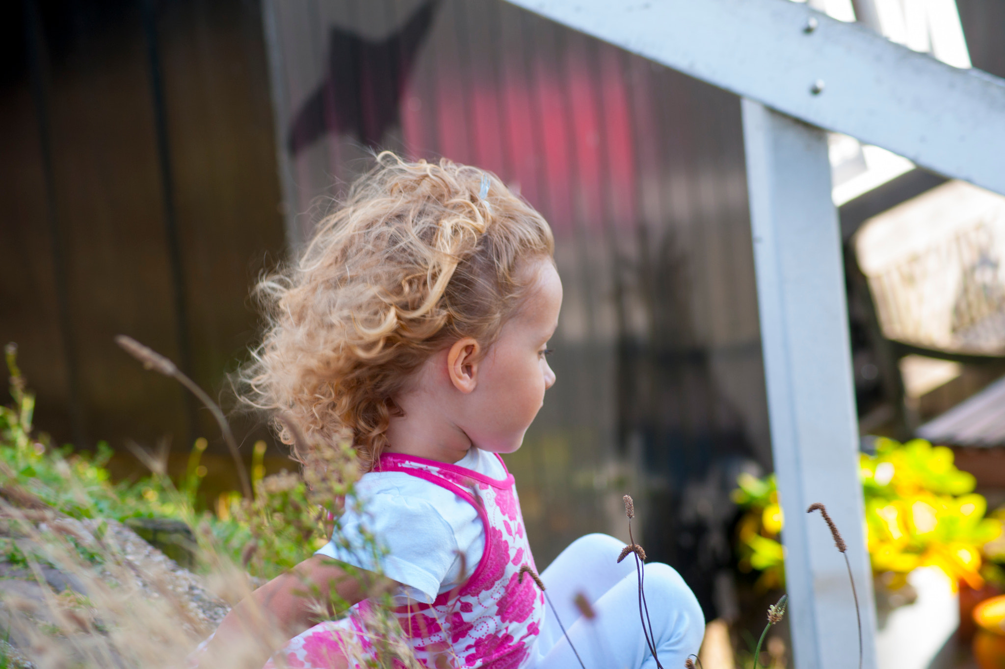 Sony Alpha DSLR-A700 sample photo. Summer day photography