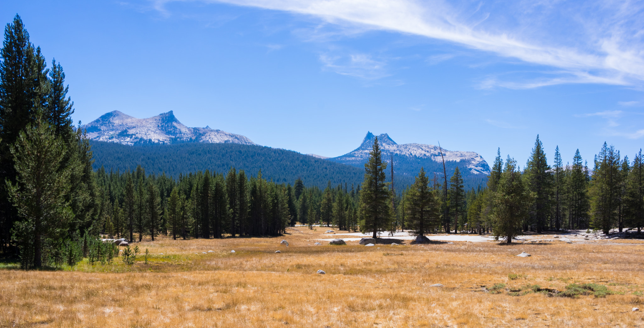 Pentax K-3 II + HD Pentax DA 21mm F3.2 AL Limited sample photo. Tuolumne meadows photography