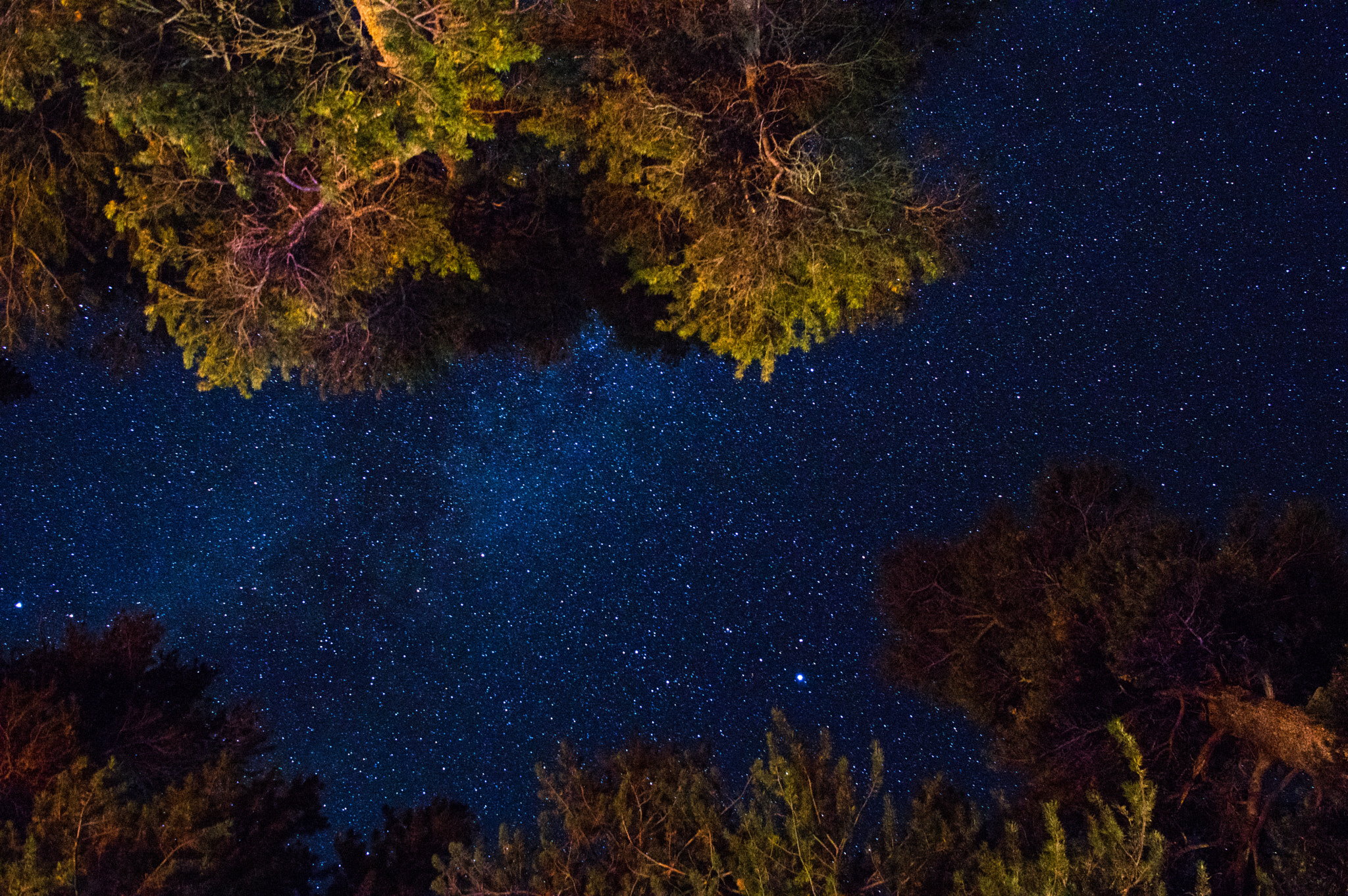 HD Pentax DA 21mm F3.2 AL Limited sample photo. Stars above our campsite photography