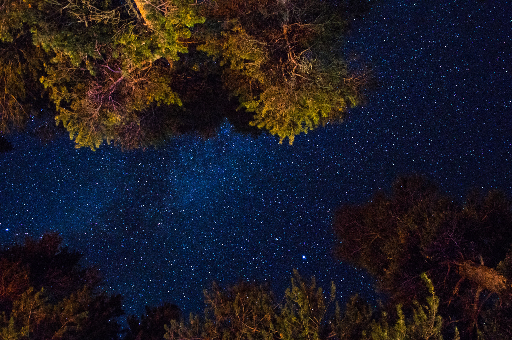 Pentax K-3 II + HD Pentax DA 21mm F3.2 AL Limited sample photo. Stars above our campsite photography