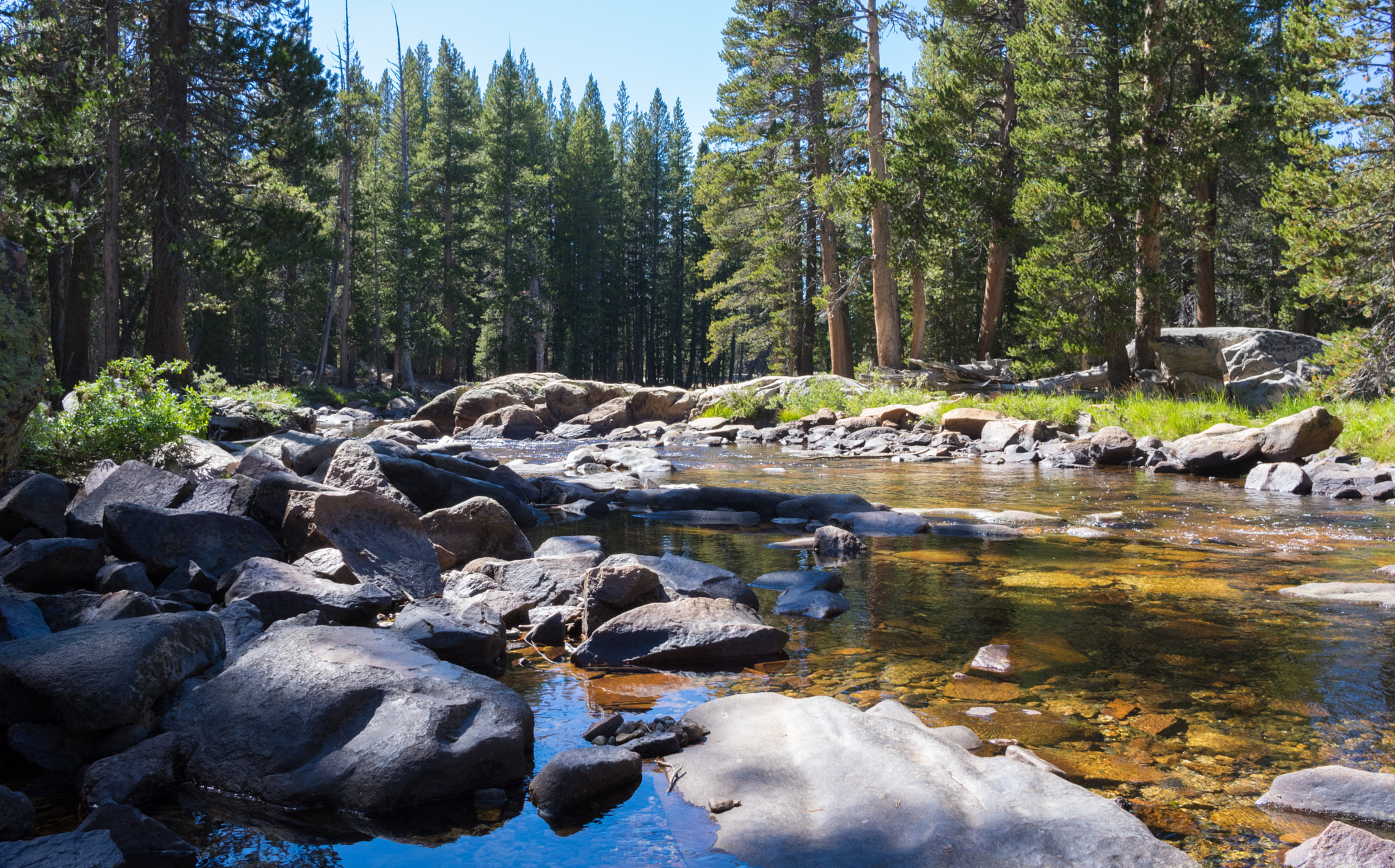 Pentax K-3 II sample photo. Tuolumne river photography