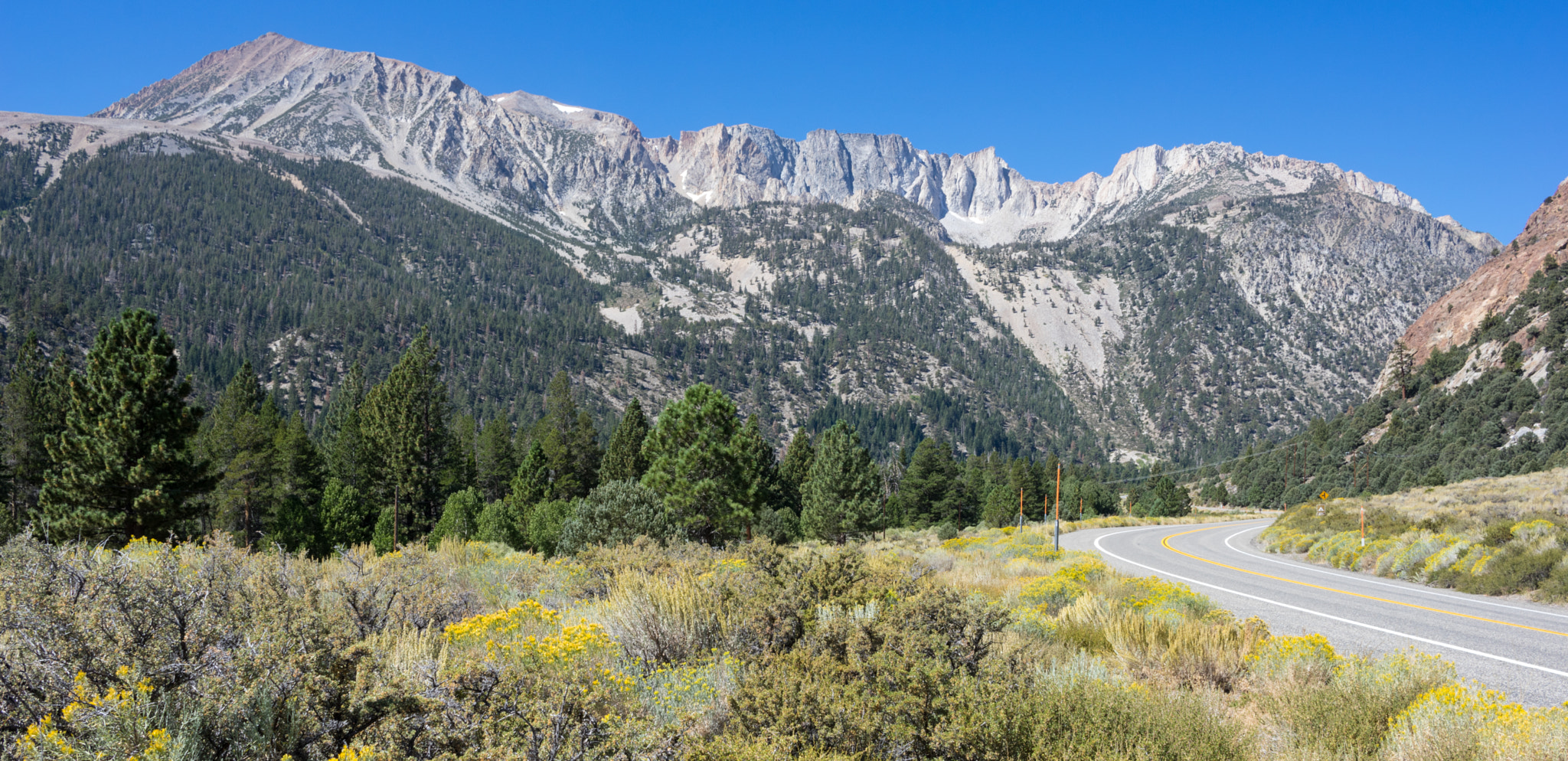 Pentax K-3 II sample photo. Aspen campgrounds photography