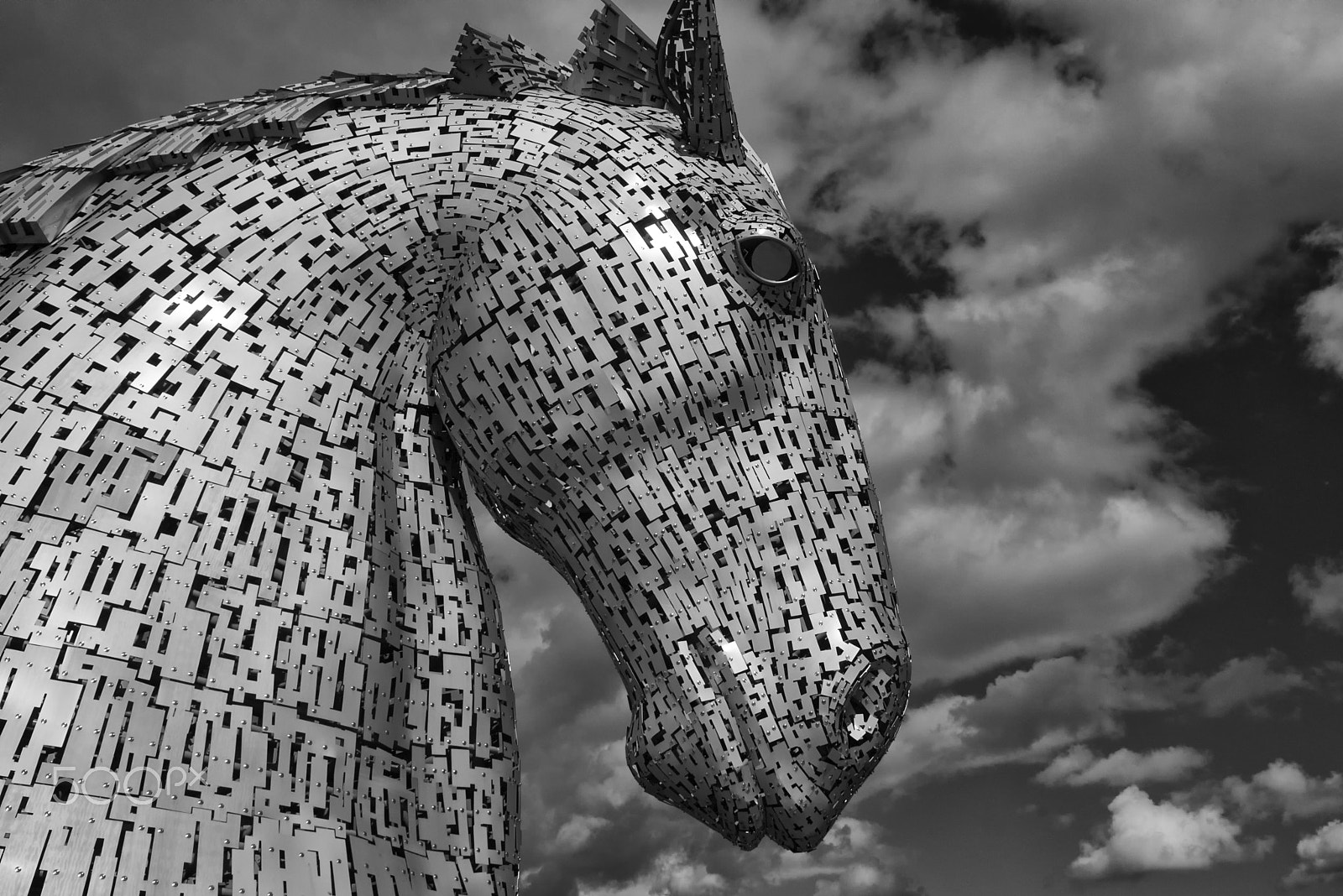 Nikon D200 sample photo. One majestic kelpie photography