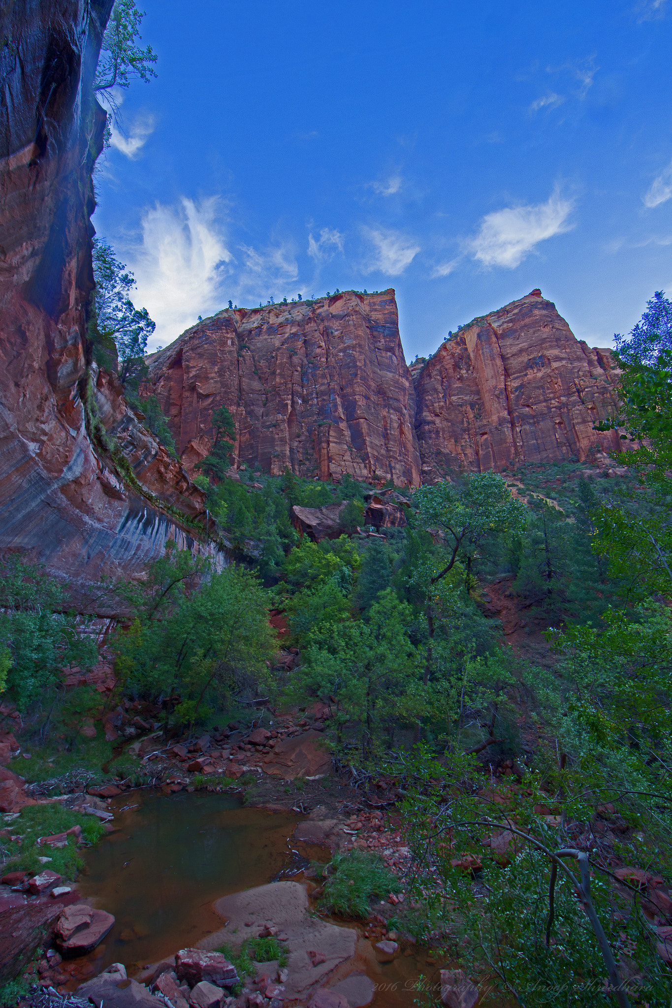 Canon EF 14mm F2.8L II USM sample photo. Zionnationalpark photography