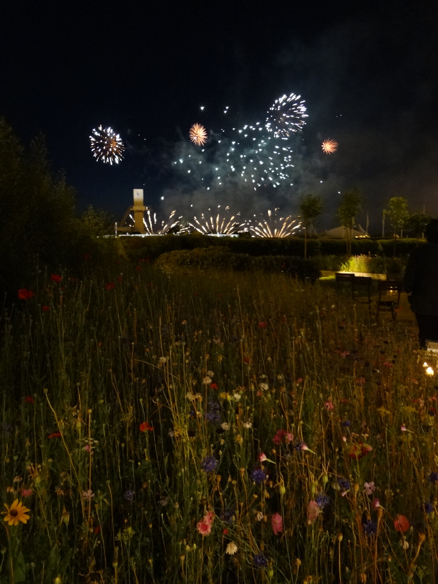 Sony DSC-WX7 sample photo. France,deauville,feux d'artifice photography