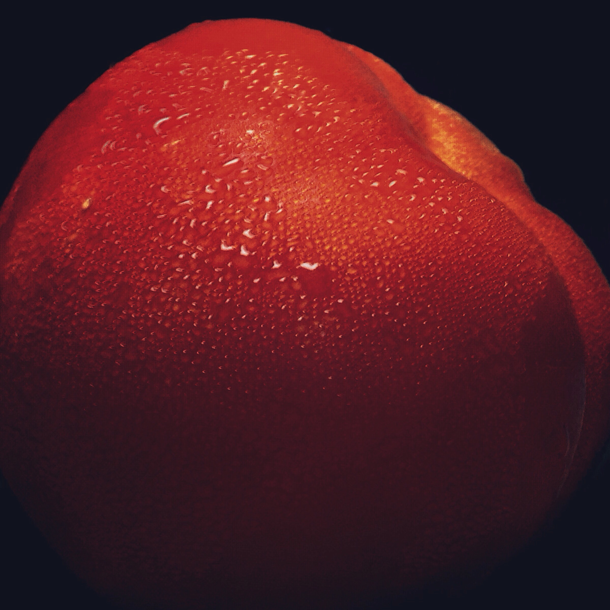 Apple iPhone5,2 sample photo. Tomato photography