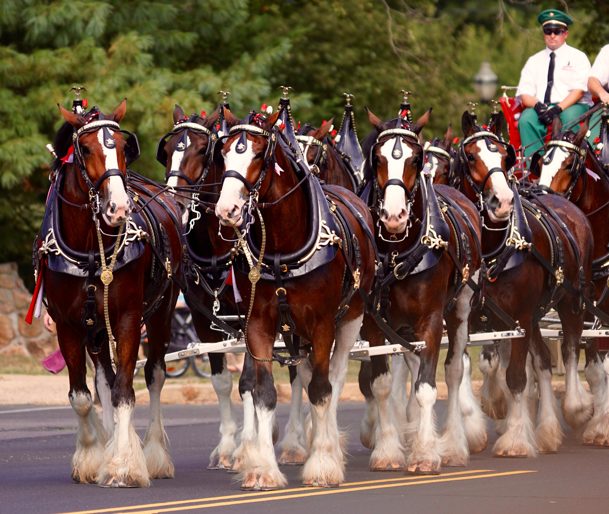 Sony 70-200mm F2.8 G SSM II sample photo. Clydesdales in new hope pa photography
