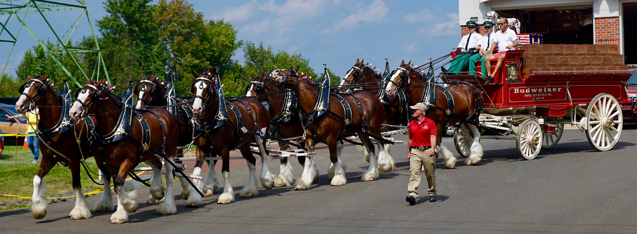 Sony ILCA-77M2 sample photo. Clydesdales photography