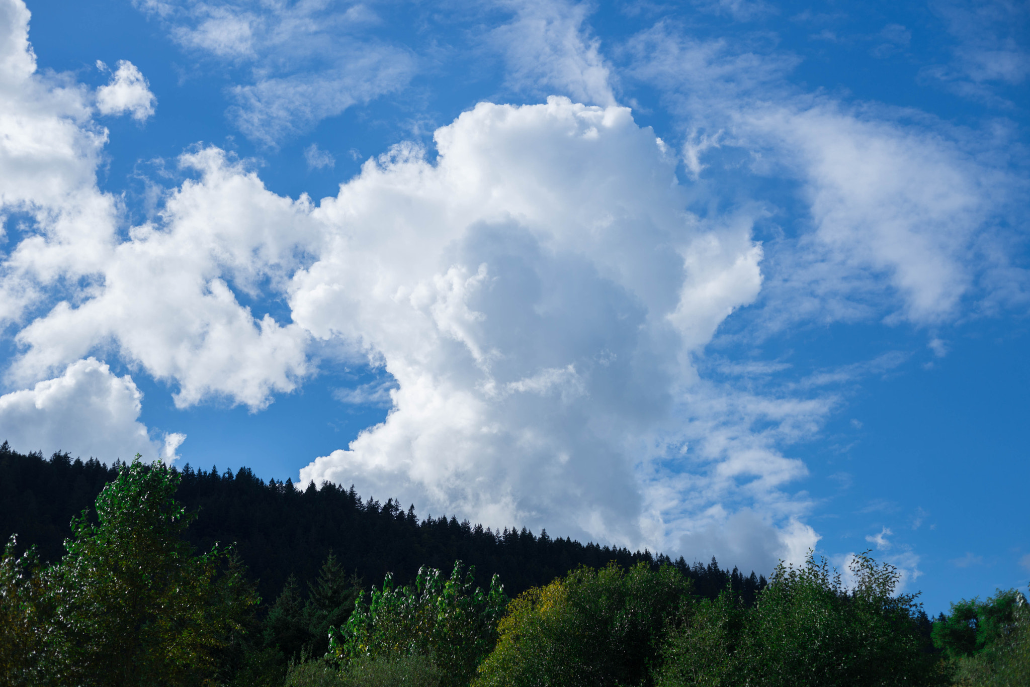 AF Nikkor 50mm f/1.4 sample photo. Cloud in the sky photography