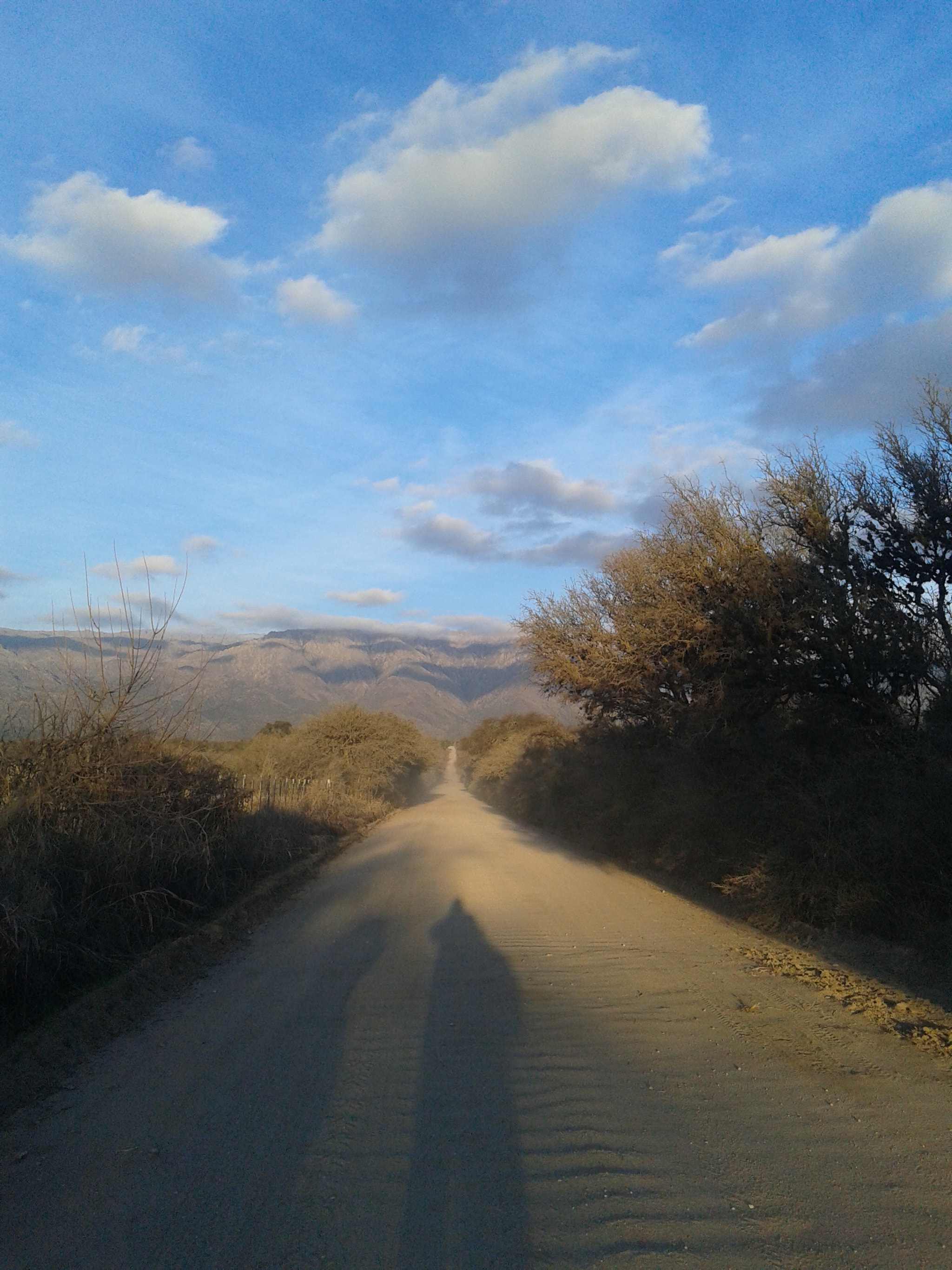 Samsung Galaxy Core Plus sample photo