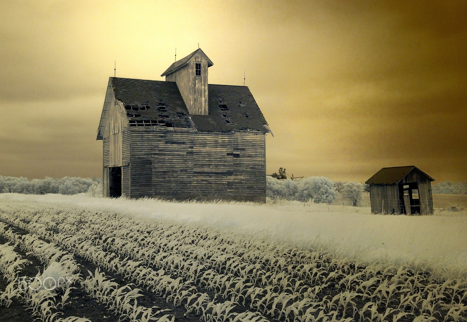Nikon D40X sample photo. Corn crib and field photography